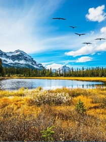 精灵梦叶罗丽之冰雪公主归来_d210_d519_d0