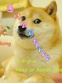 逗比公司3