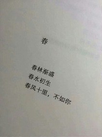 再見，王先生