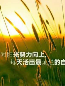 紫色闪耀时光