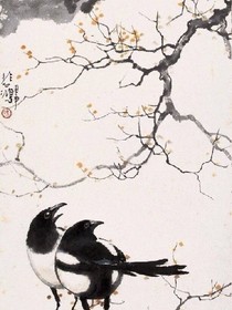 林半仙
