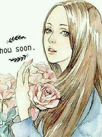 仙境之圣女国