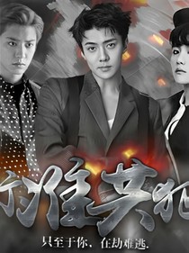 标准共犯