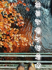 最美的繁星不過(guò)是你