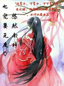 悠然南北之宠妻无度