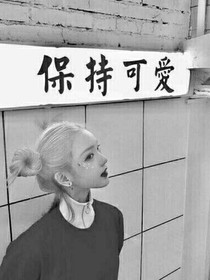 狗粮太多