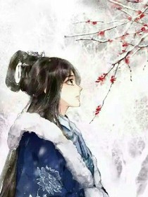 大唐公主册