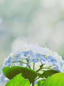 为他永生