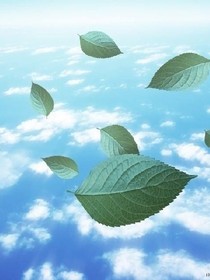 飘零