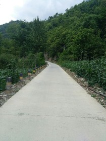 阴阳招魂师