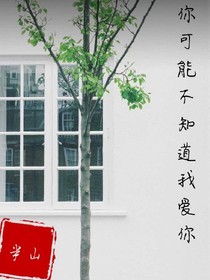 你可能不知道我爱你