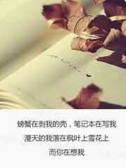 你的甜度要幾分