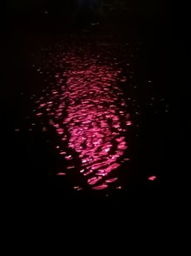喪尸爆發(fā)后