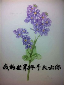 我的世界終于失去你