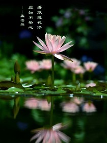 你我的爱恋