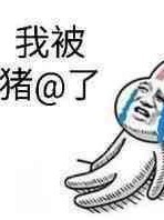 我被豬@了
