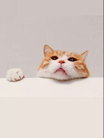 亲爱的，你还爱我吗？