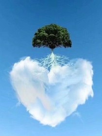 静忆流年