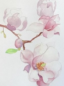 白蓮花有啥，我是她老大