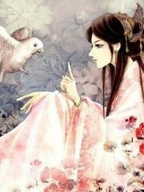 雨星子光之穿越萌妃