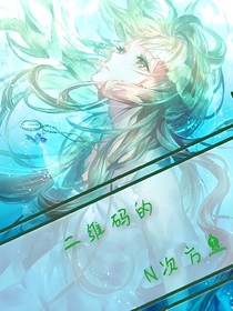 二維碼的N次方