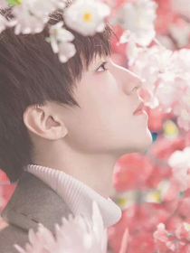 tfboys之歐陽公主復(fù)仇記