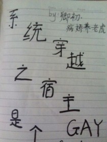 系統(tǒng)穿越之宿主是個(gè)GAY