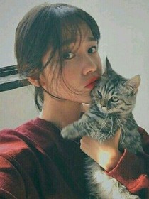 以后不能從來