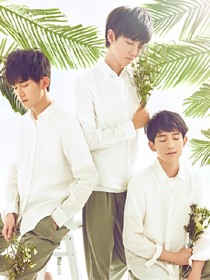 TFBOYS之再续前缘樱花色