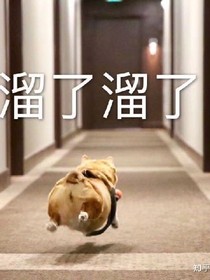 虽然长得好看但一无是处