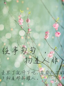 往事匆匆，物是人非