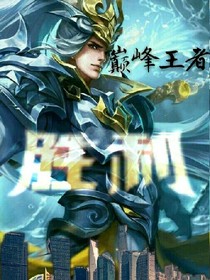 王者荣耀之巅峰传奇