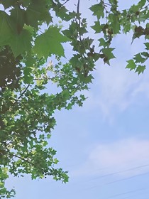 已被預(yù)訂.