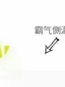 公主与王子的恋爱日子
