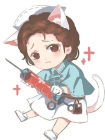 柯基丫头