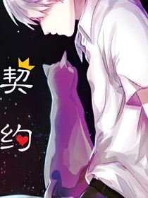 契约.喵