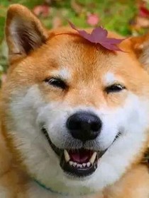 笑料大全
