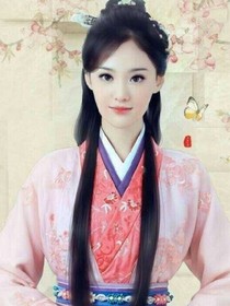 宠妃攻略之郑爽