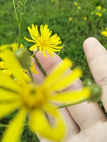等风的那些年，我错过
