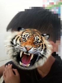 中学
