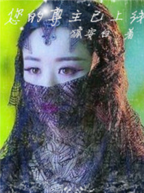 您的尊主已上线