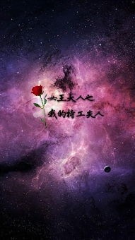 女王大人之我的特工夫人