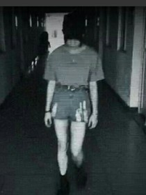 第三人