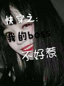 我的boss不好惹