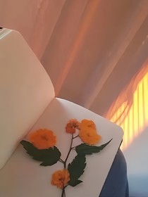 我的小日子