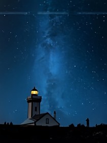 星星满枝丫