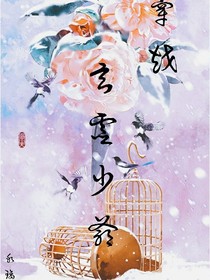 穿越之玄灵少年