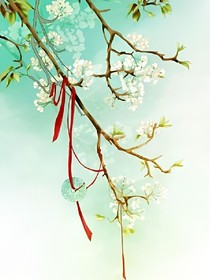 陌上花开，伊人来