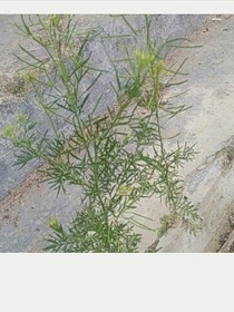 爱，只因是你