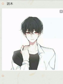沥木